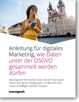 DSGVO Anleitung für digitales Marketing Titelseite