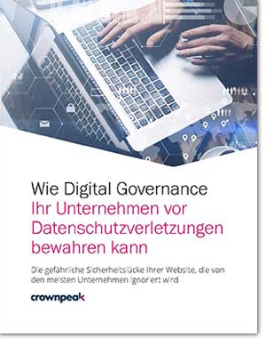 Wie die Digital Governance Sie vor Datenlecks bewahren kann