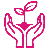 Growing plant icon