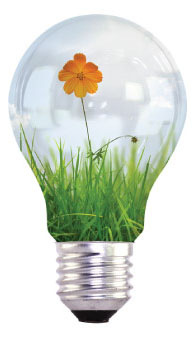 Creative Light-bulb