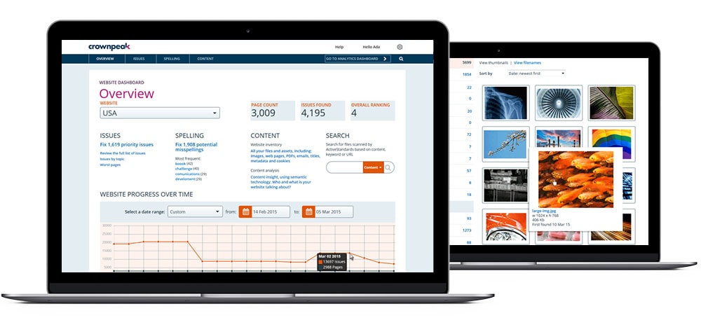 DXM with Digital Quality Management Overview