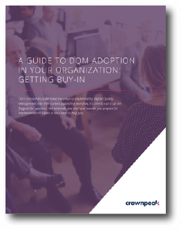 Guide to DQM Adoption and Getting Buy-In