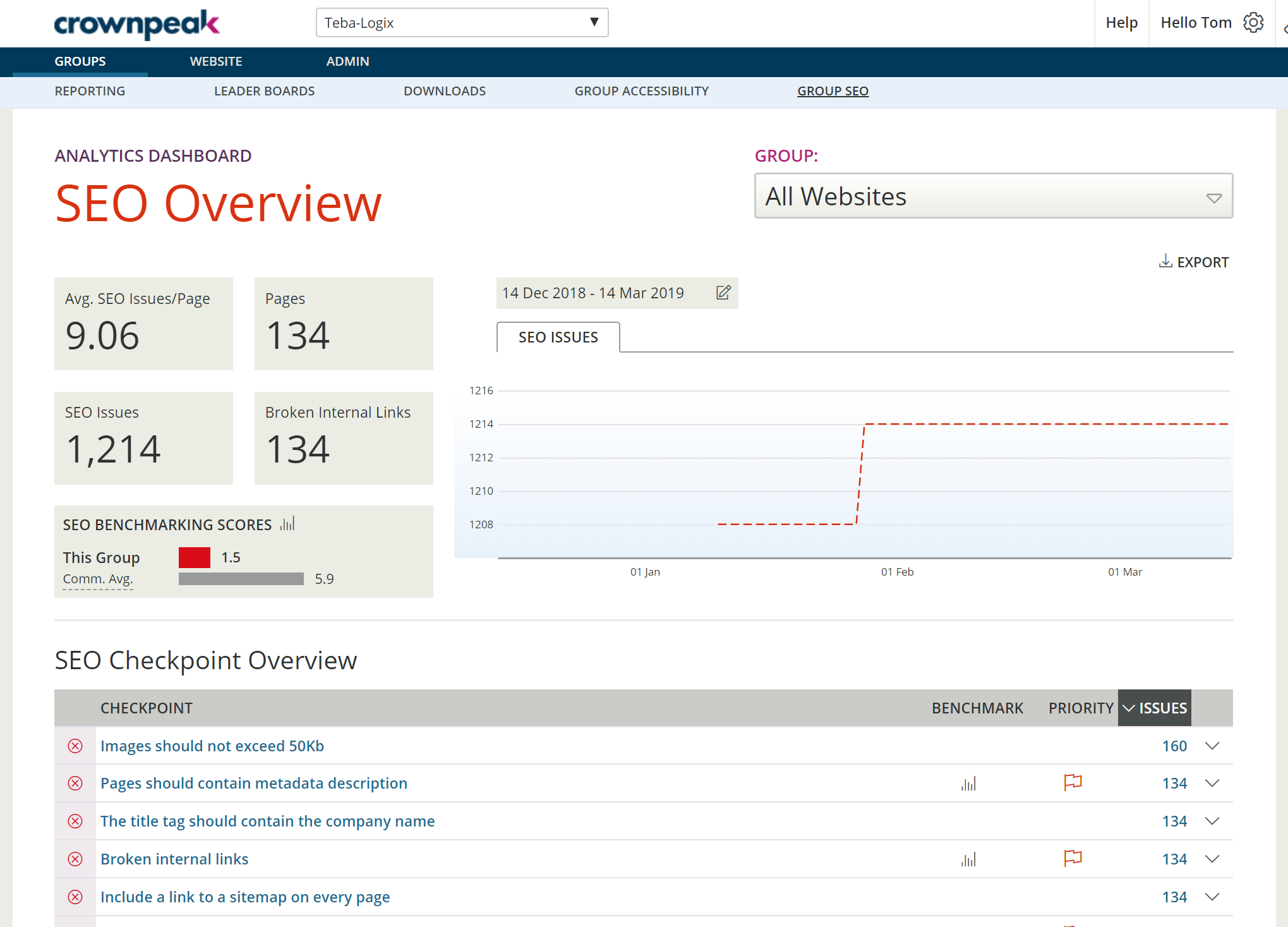 seo overview screenshot