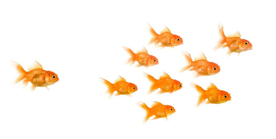 digital data governance 