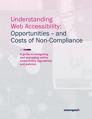 Website Accessibility Guidelines